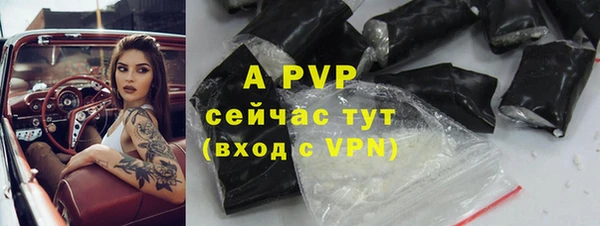 хмурый Пестово