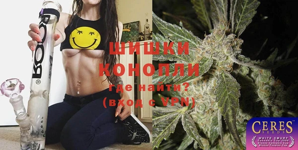 хмурый Пестово