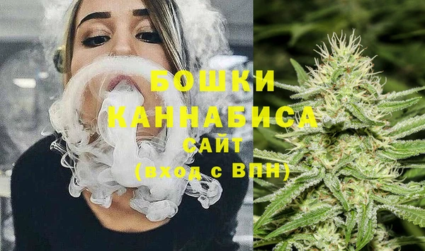 хмурый Пестово