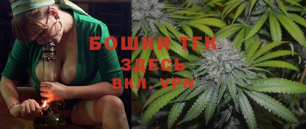 спайс Пересвет