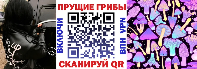 Псилоцибиновые грибы MAGIC MUSHROOMS  Чайковский 