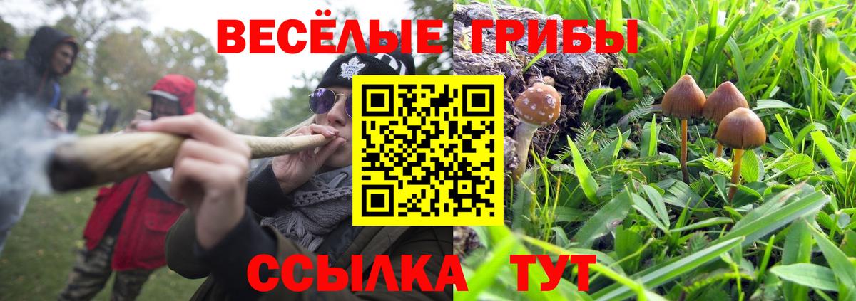 Псилоцибиновые грибы ЛСД Чайковский